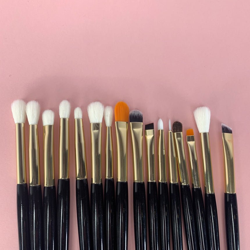 Eye Brush Set - 16 Brushes